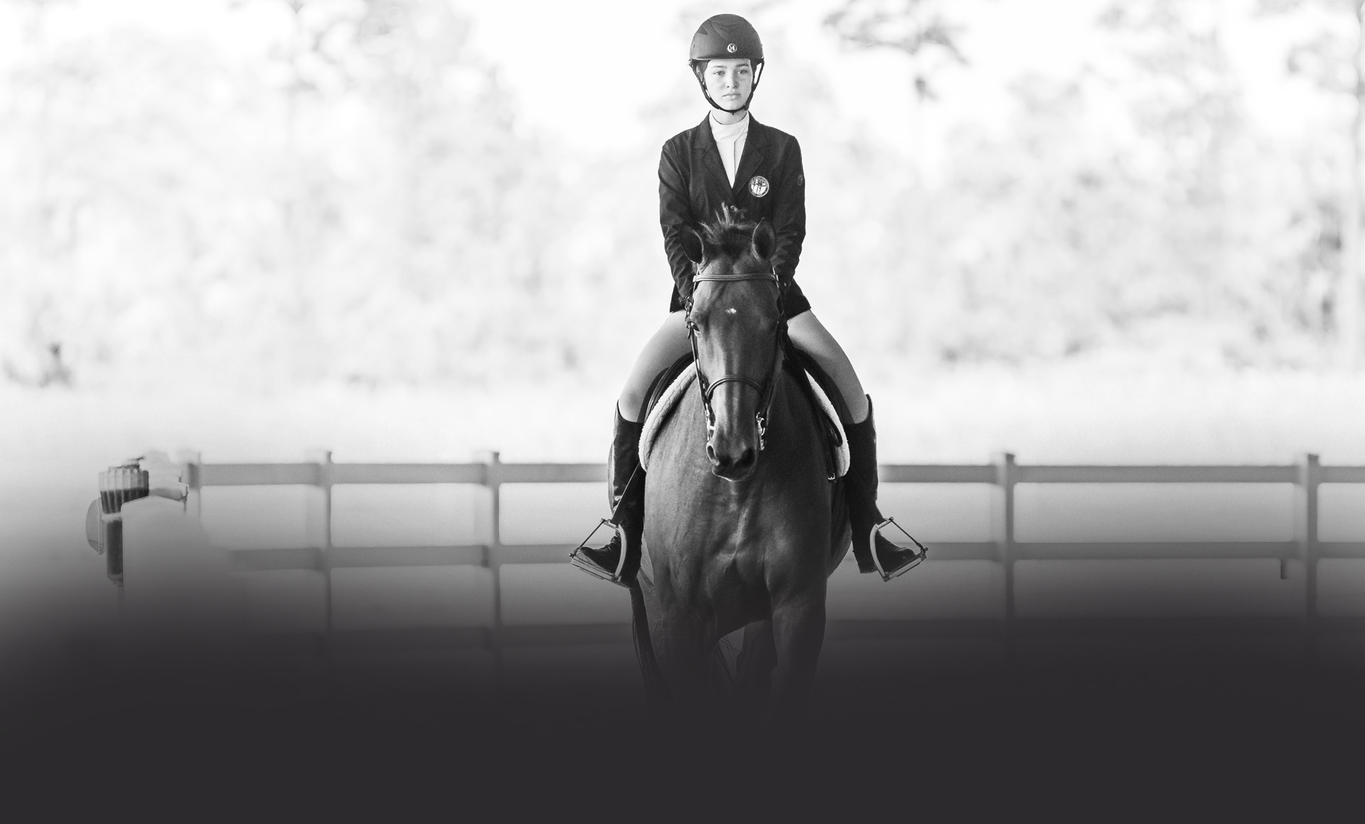 equestrian photographer palm-beach